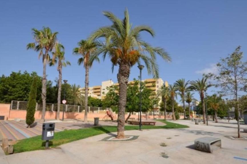 Apartamento Los Gases Torrevieja Exteriör bild